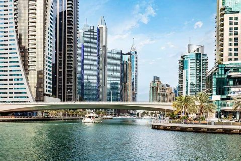 Кубок мира в Катаре привел к буму на рынке элитной недвижимости Дубая